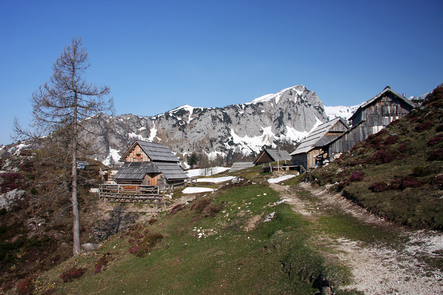 Pomlad na Krstenici II.
Pomlad na planini Krstenica. 
Ključne besede: planina krstenica ogradi