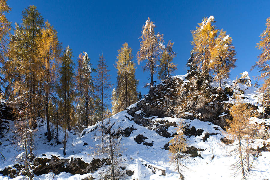 Macesni
S planine Viševnik proti planini Ovčarija.
Ključne besede: planina viševnik ovčarija