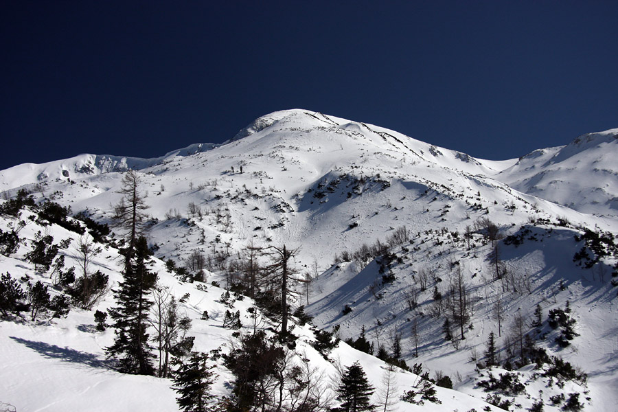 Poljanski vrh
Današnji cilj - Poljanski vrh pred planino Poljana.
Ključne besede: planina poljana poljanski vrh