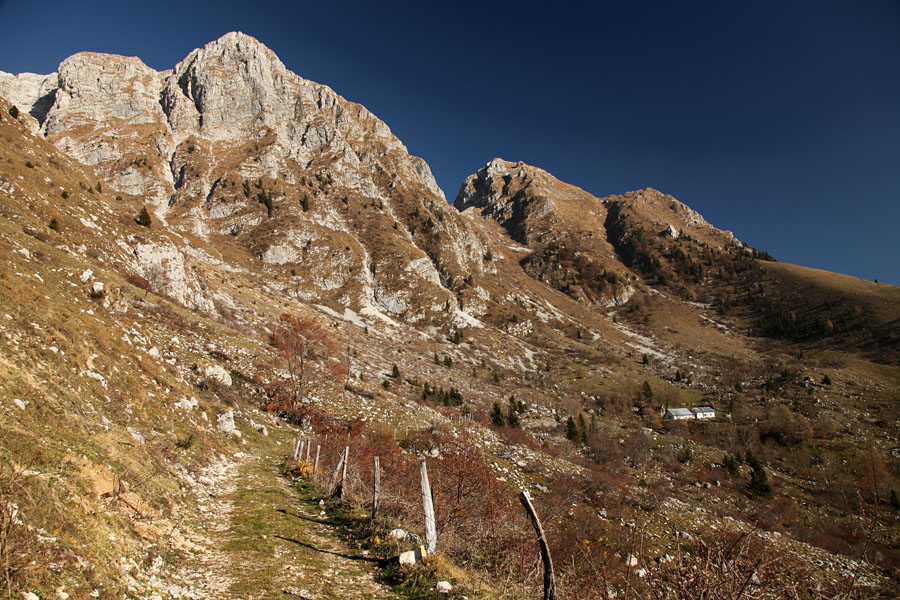 Na planino Leskovca
Pot na planino Leskovca. pravzaprav sem se po njej že vračal. Nad planino je Leskovški vrh (Maselnik).
Ključne besede: leskovca leskovški vrh maselnik