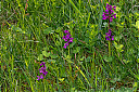 Ime datoteke=IMG_2743_36.jpg
Velikost datoteke=325KB
Dimenzija=900x600
Datum objave=%11.%05.%2026 IMG_2743_36.jpg